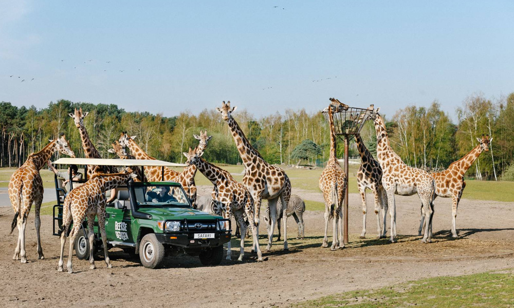 Mainstage - About us